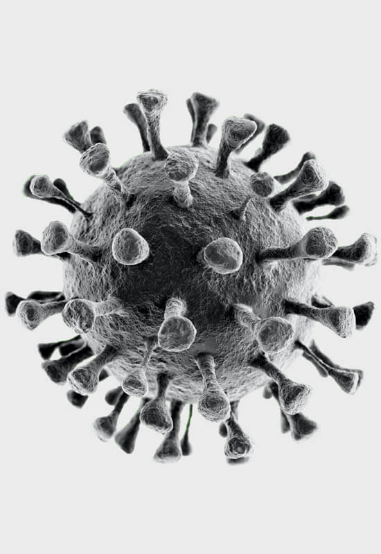 CORONAVIRUS CONTROL