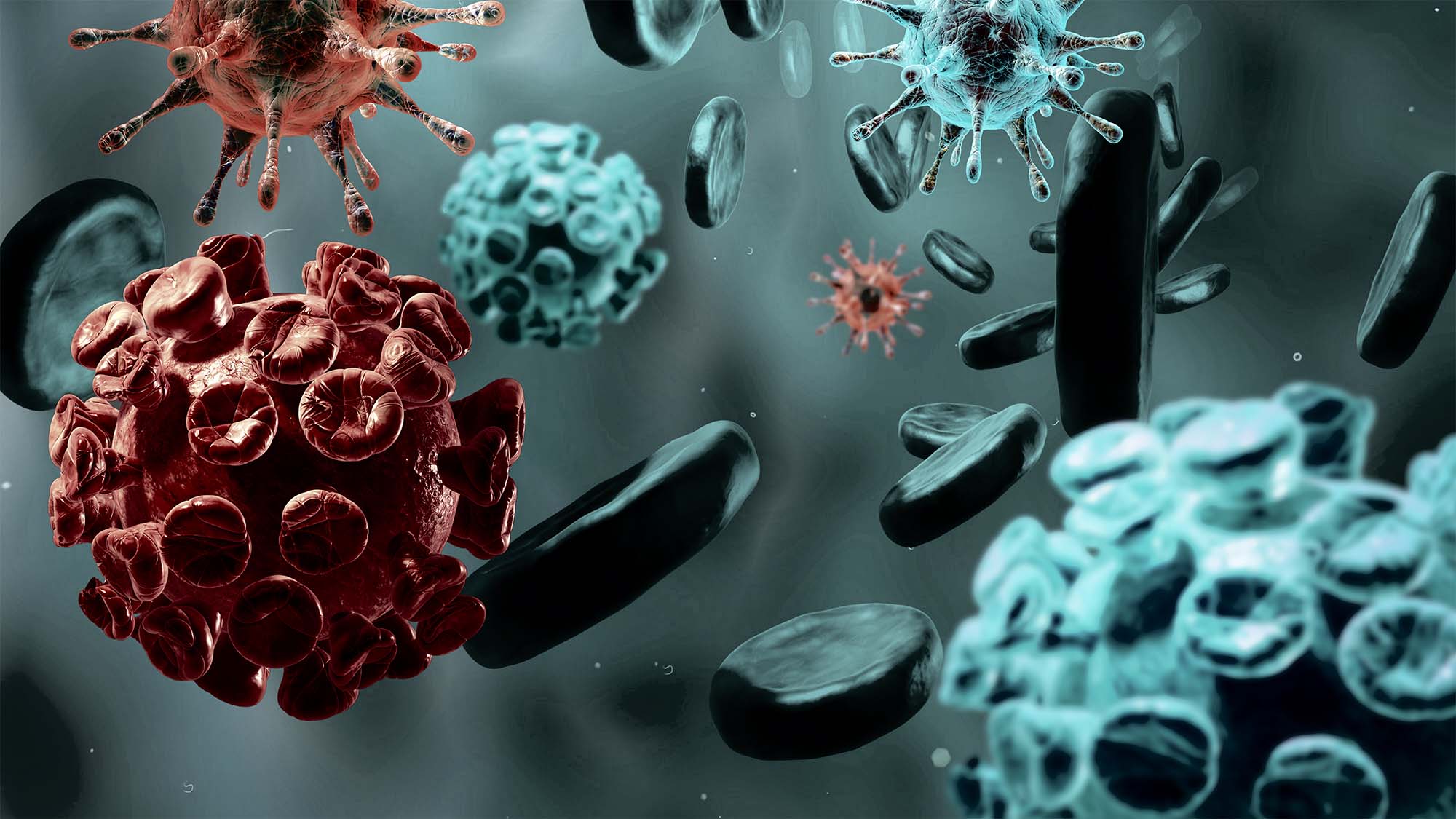 coronavirus greenfog